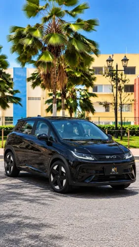 BYD Dolphin SE 2027