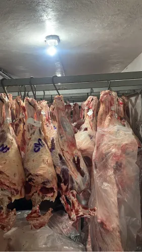 Ajudante de açougue e auxiliar de produção