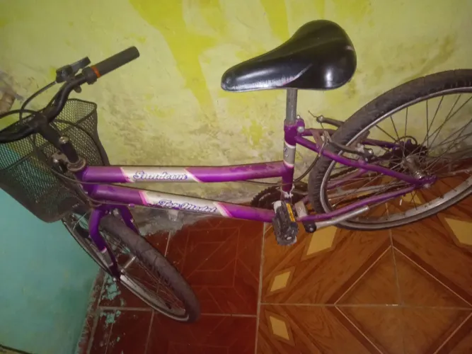 Bicicleta de Marcha 
