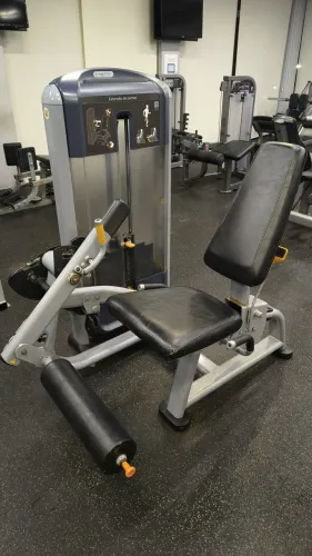 Extensora precor