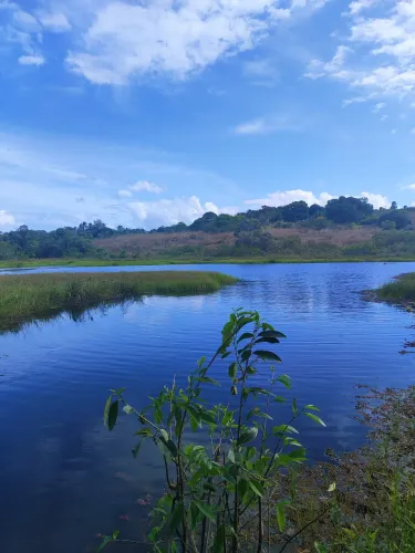 fazenda com 260 hectares na região de Macaiba