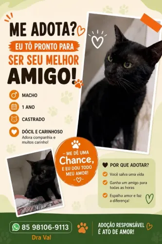 Animais