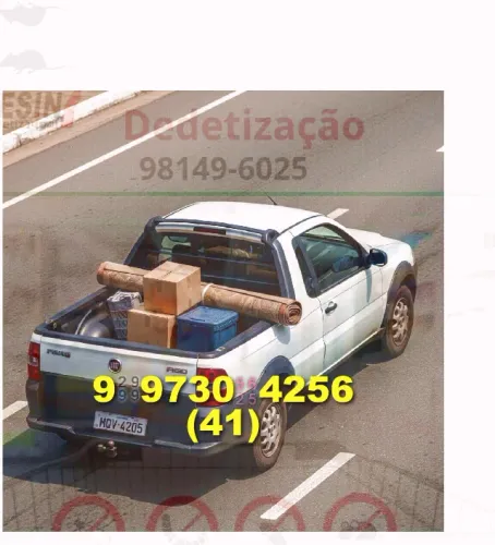 Frete rápido e seguro! Como posso ajudar você hoje?