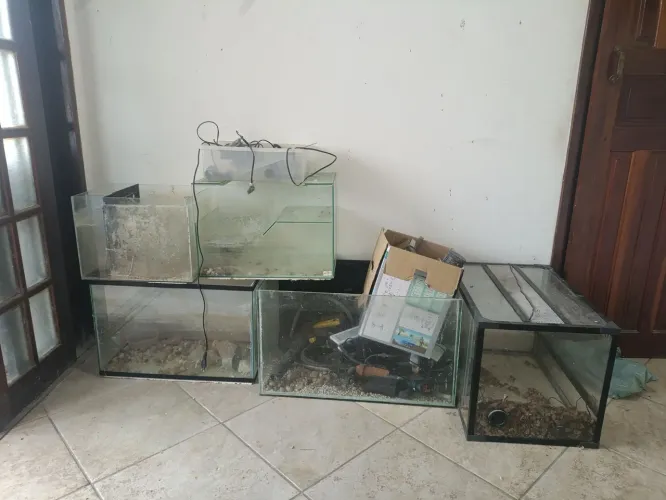 Aquário / terrario