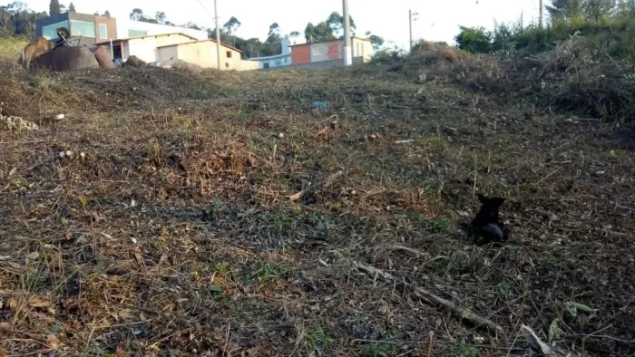 Terreno à venda, 500 m² por R$ 186.000,00 - Caucaia do Alto - Cotia/SP
