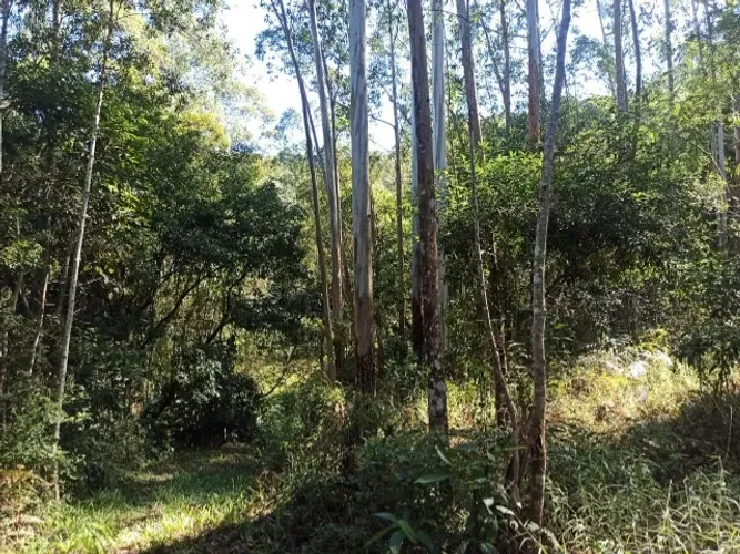 Vendo Terreno escriturado