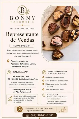REPRESENTANTE DE VENDAS EXTERNA (PJ)