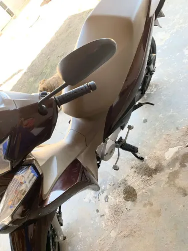 Moto biz 
