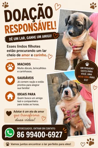 Doação de cachorro