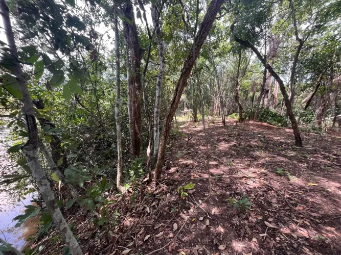 Chácara na beira do rio das mortes em nova Xavantina -mt