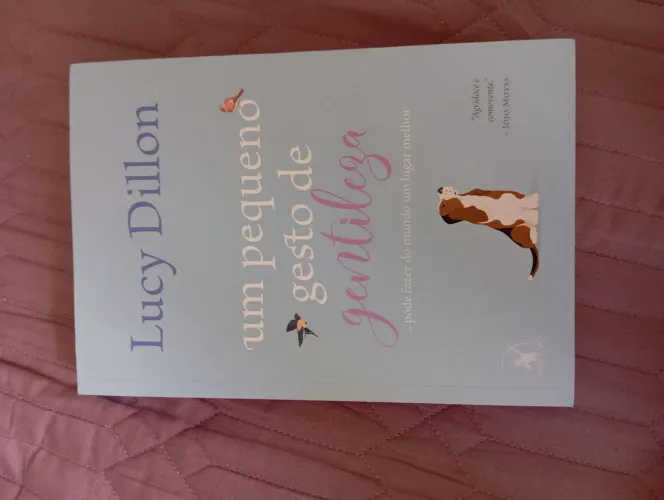 Livro um pequeno gesto de gentileza 