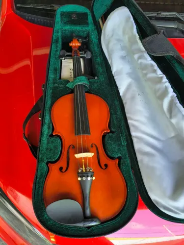 Violino Michael 4/4 no case