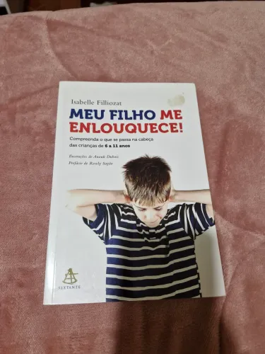 Livro de Psicologia Meu filho me Enlouquece - para psicólogos e pais, pesquisa e estudo