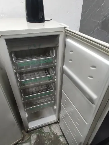 Freezer vertical