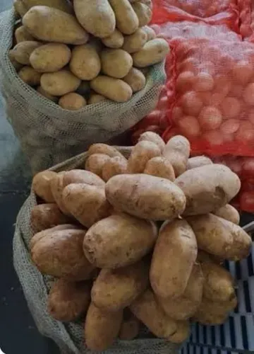 Batata marquise especial para fritura.