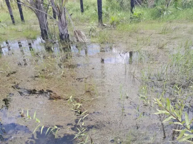 terreno de chácara