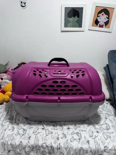 Caixa transporte gatos