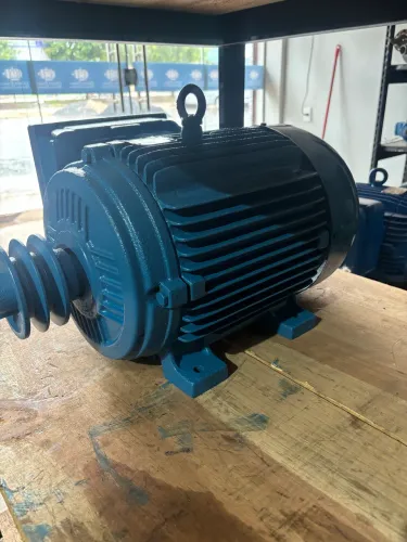 Motor elétrico WEG 10 cv monofásico semi novo 