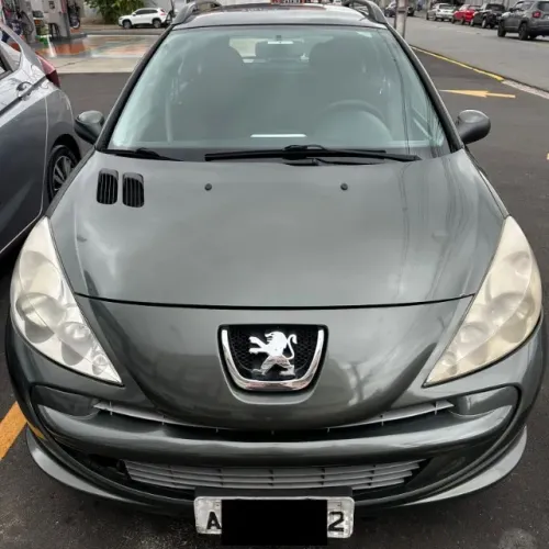Peugeot 207 SW XR 1.4 Flex 8V 5P 2012
