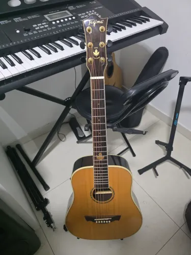 Violão Tagima Baby Fernie serie Canadá tampo sólido captação fishman.