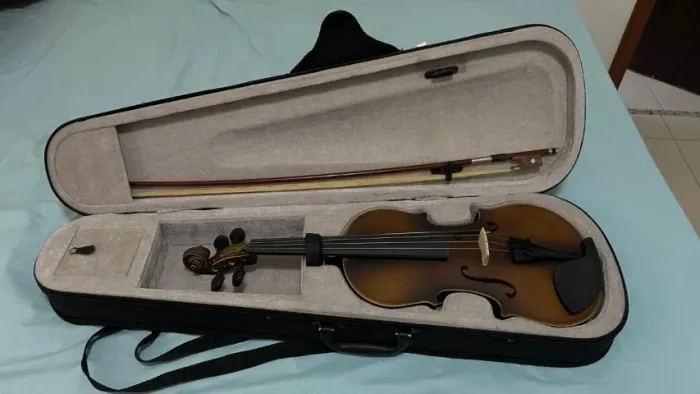 Violino VOGGA Von 144N 4/4 + Arco + Case