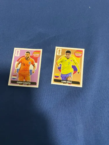Luís Dias e gakpo regular