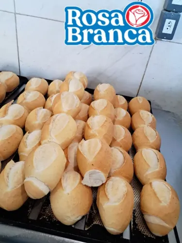 Fornecemos pães