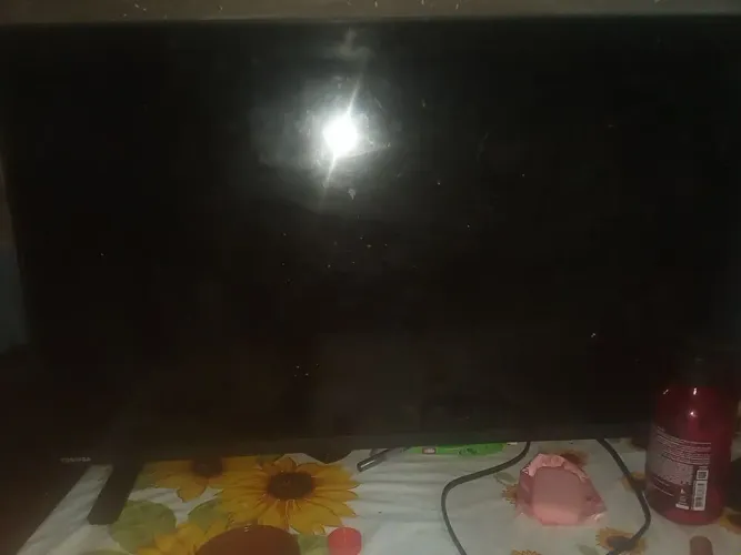 Televisão
