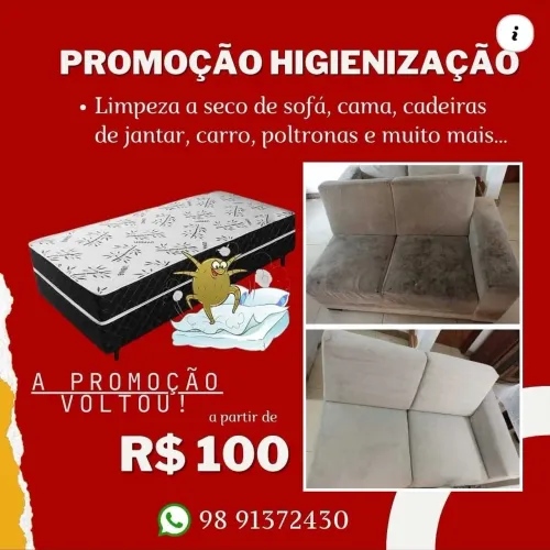 Higienização a Seco