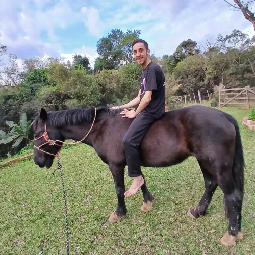 Troco por moto ou volto num carro - Vendo egua domada 13 anos
