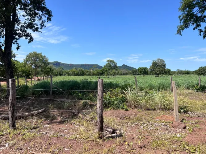 Fazenda à Venda Próxima a Porto Nacional TO