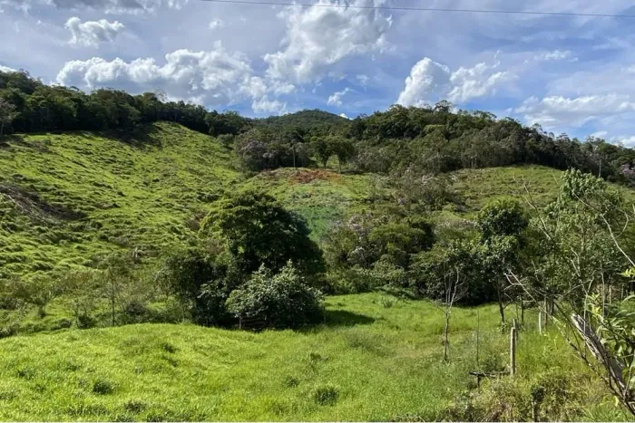 Sítio à venda em Jacupiranga na Estrada da Pindauba