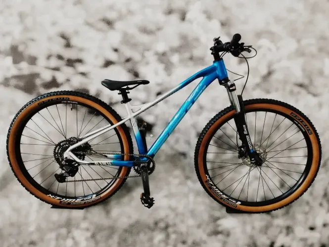 Bicicleta aro 29