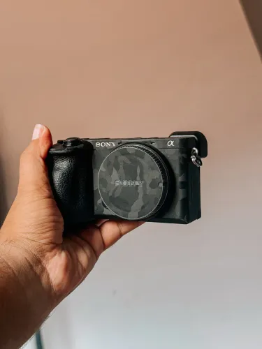 Sony A6600