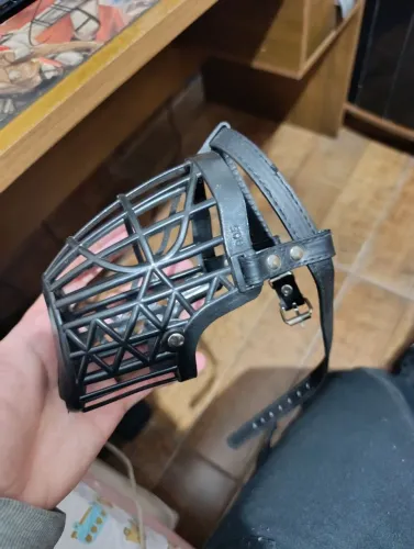 Focinheira porte médio