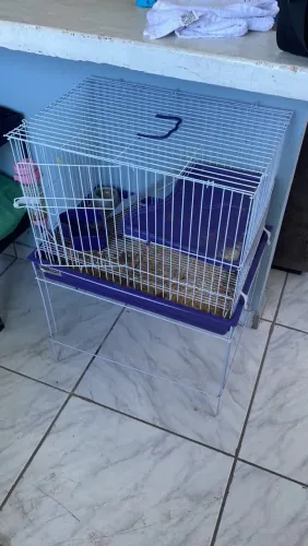 Gaiola para hamister