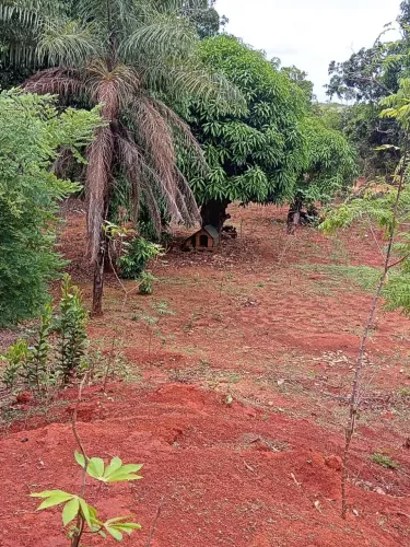 Vendo chacara em Luziânia