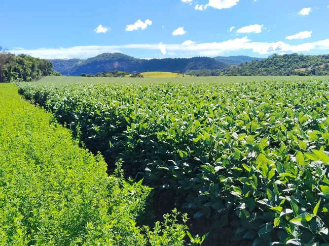 Excelente fazenda em Candido de Abreu -PR beira de pista
