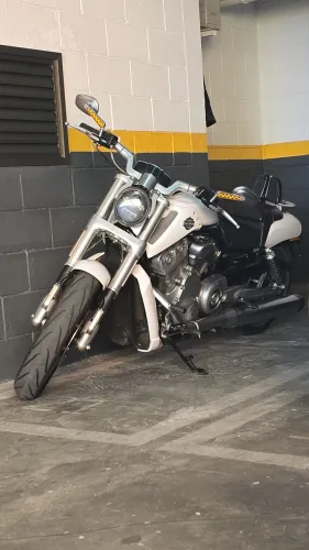 VRod Muscle 2013 Nova 