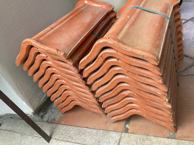 21 cumieiras novas