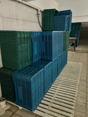Caixa plástica hortifruti 