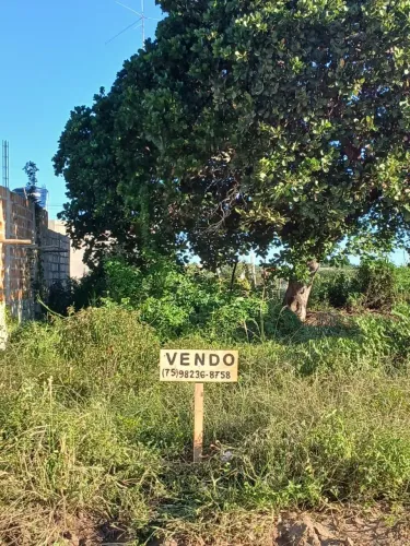 PASSO TERRENO NO LOTEAMENTO MORADA BRANDÃO 8.000,00