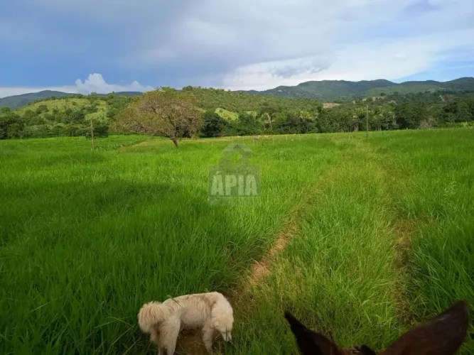 Fazenda a Venda no bairro Zona Rural - Nova Iguaçu de Goiás, GO