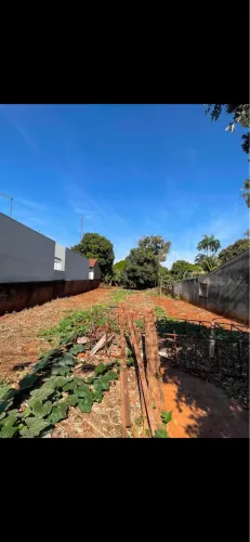 Vendo terreno grande 