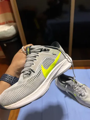 Nike Pegasus
