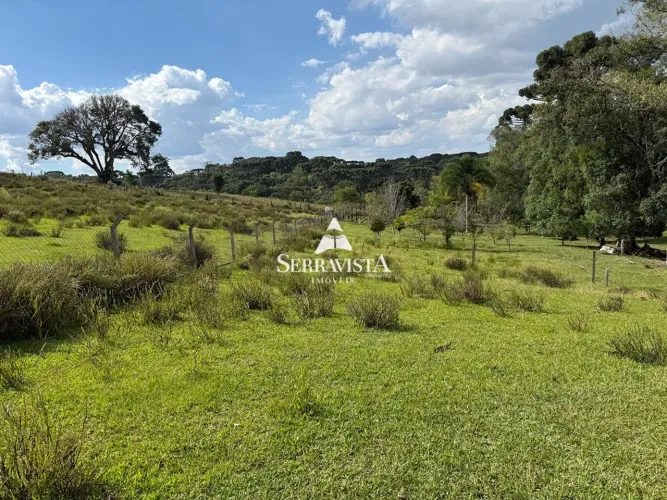 Chácara com araucárias em Campo Alegre -20.000 m2