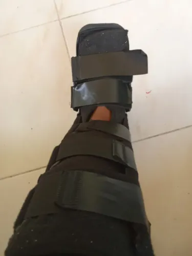 Bota Rodofot
