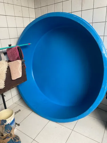 Piscina 1000 litros polietileno 