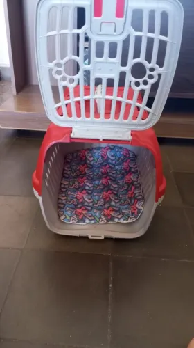 Caixa transportadora para animal