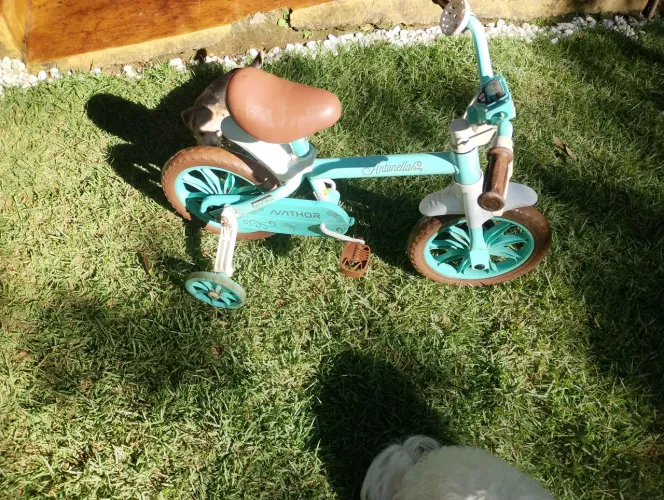 Bicicleta infantil até 6 anos